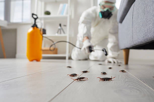 Commercial Kitchen Cockroach Control in Loma